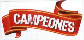 Imagen de CAMPEONES