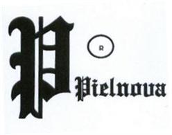 Imagen de P PIELNOVA