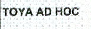 Imagen de TOYA AD HOC