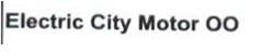 Imagen de ELECTRIC CITY MOTOR OO
