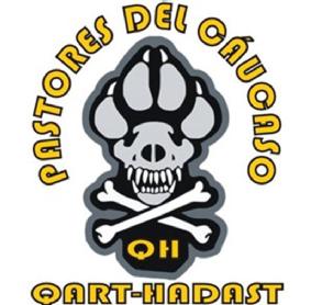 Imagen de PASTORES DEL CAUCASO QH QART-HADAST