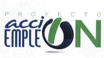 Imagen de PROYECTO ACCION EMPLEO