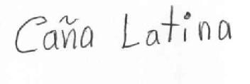 Imagen de CAÑA LATINA