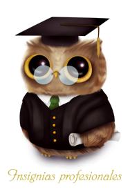 Imagen de INSIGNIAS PROFESIONALES