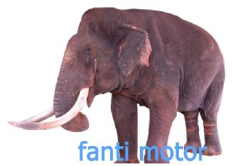 Imagen de FANTI MOTOR