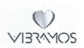 Imagen de VIBRAMOS