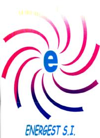 Imagen de E ENERGEST S.I
