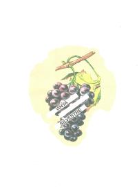 Imagen de VINYA SILVESTRE