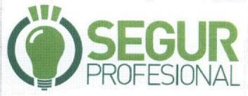 Imagen de SEGUR PROFESIONAL