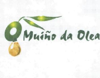 Imagen de O MUIÑO DA OLEA