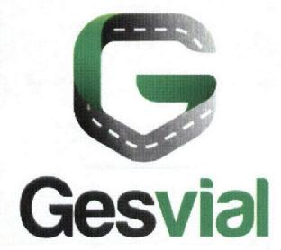 Imagen de G GESVIAL