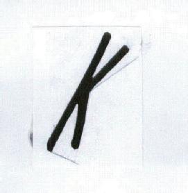 Imagen de K