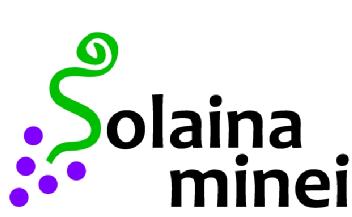 Imagen de SOLAINA MINEI