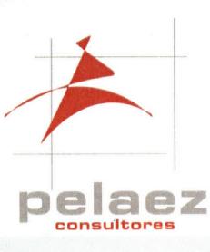 Imagen de PELAEZ CONSULTORES