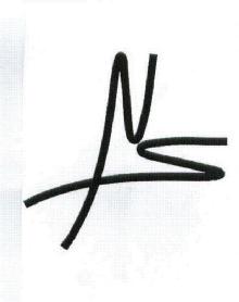 Imagen de NS