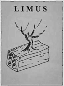 Imagen de LIMUS