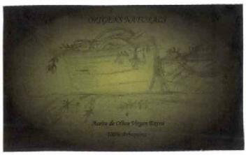 Imagen de ORIGENS NATURALS ACEITE DE OLIVA VIRGEN EXTRA