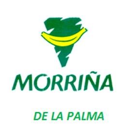 Imagen de MORRIÑA DE LA PALMA