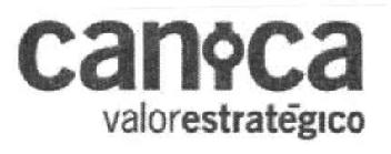 Imagen de CANICA VALORESTRATEGICO