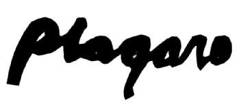 Imagen de PLAGARO