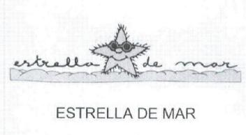 Imagen de ESTRELLA DE MAR ESTRELLA DE MAR