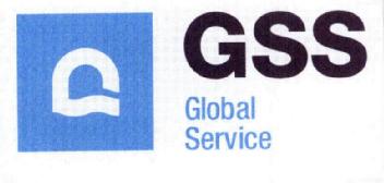 Imagen de GSS GLOBAL SERVICE