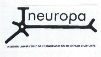 Imagen de INEUROPA INSTITUTO UNIVERSITARIO DE NEUROCIENCIAS DEL PRINCIPADO DE ASTURIAS