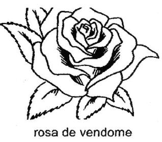 Imagen de ROSA DE VENDOME