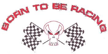 Imagen de BORN TO BE RACING