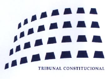 Imagen de TRIBUNAL CONSTITUCIONAL