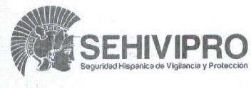 Imagen de SEHIVIPRO SEGURIDAD HISPANICA DE VIGILANCIA Y PROTECCION