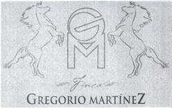 Imagen de GM GREGORIO MARTINEZ