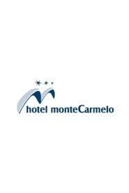 Imagen de HOTEL MONTECARMELO