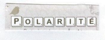 Imagen de POLARITE
