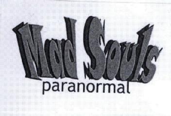 Imagen de MAD SOULS PARANORMAL