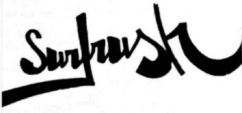Imagen de SURFRUSH