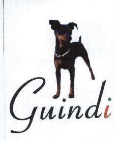 Imagen de GUINDI