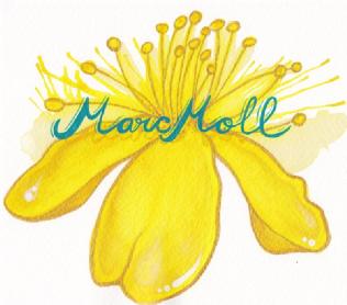 Imagen de MARC MOLL