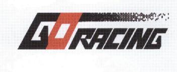 Imagen de GO RACING