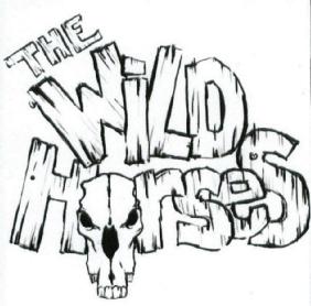 Imagen de THE WILD HORSES
