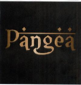 Imagen de PANGEA