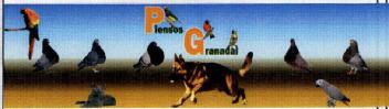 Imagen de PIENSOS GRANADAL