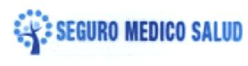 Imagen de SEGURO MEDICO SALUD