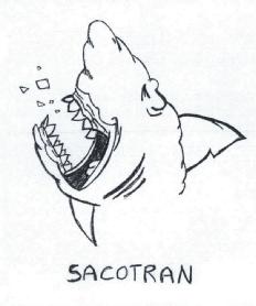 Imagen de SACOTRAN