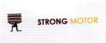 Imagen de STRONG MOTOR