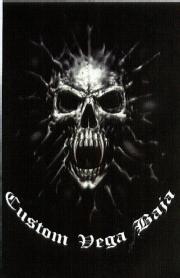 Imagen de CUSTOM VEGA BAJA