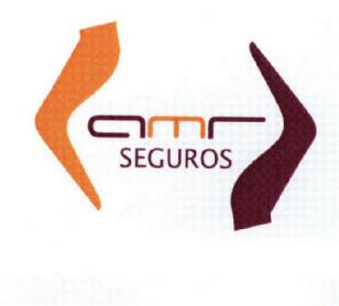 Imagen de AMR SEGUROS