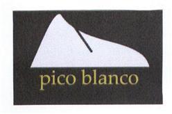 Imagen de PICO BLANCO