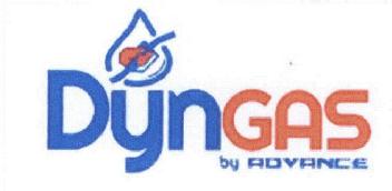 Imagen de DYNGAS BY ADVANCE