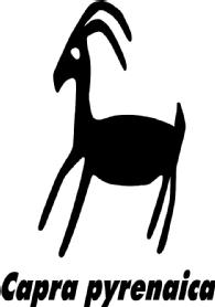 Imagen de CAPRA PYRENAICA